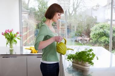 Watering 